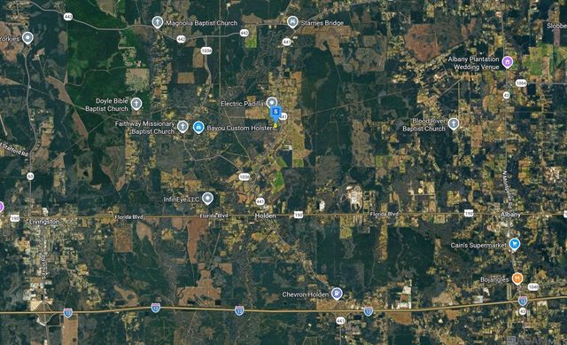 25070 Howard Varnado Rd, Holden, LA 70744