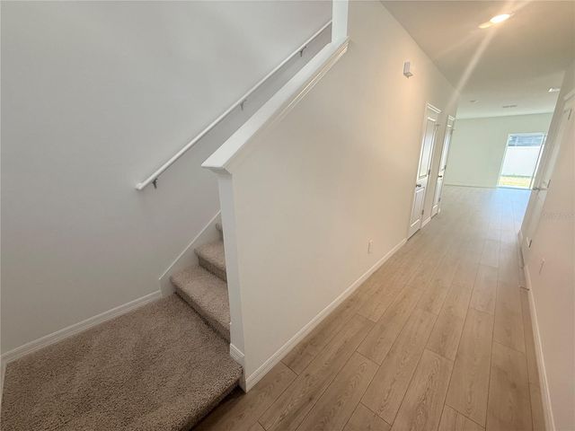17209 ENGLISH CHESTNUT WAY, Land O Lakes, FL 34638