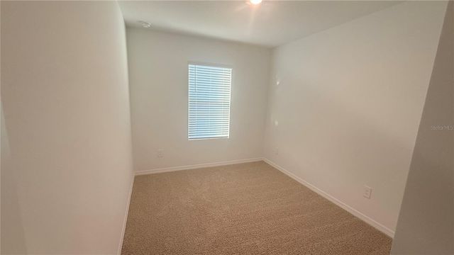 17209 ENGLISH CHESTNUT WAY, Land O Lakes, FL 34638