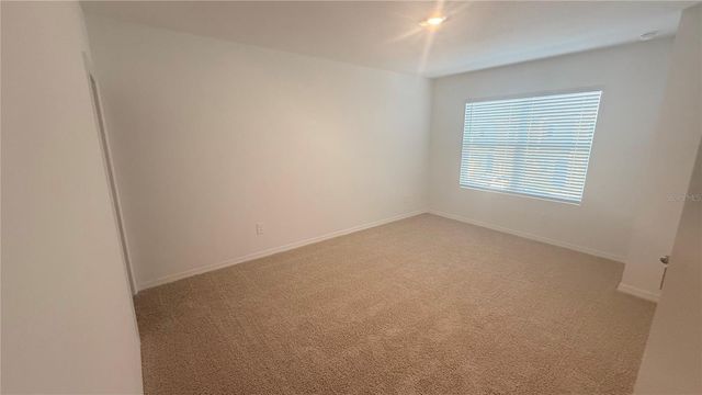 17209 ENGLISH CHESTNUT WAY, Land O Lakes, FL 34638