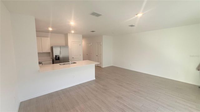 17209 ENGLISH CHESTNUT WAY, Land O Lakes, FL 34638