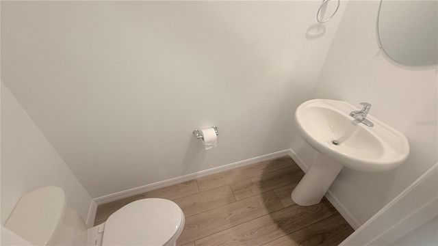 17209 ENGLISH CHESTNUT WAY, Land O Lakes, FL 34638
