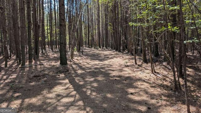 1088 Ballard Rd, Ball Ground, GA 30107