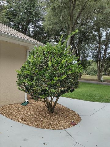 592 DOWLING CIRCLE, Lady Lake, FL 32159