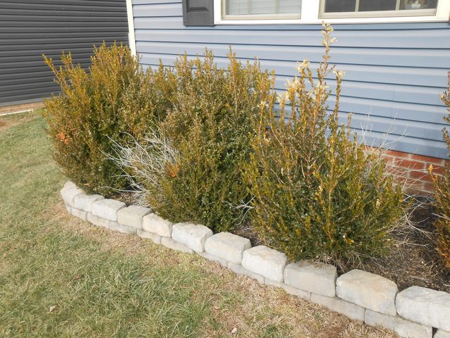 456 Balite Way, Richmond, KY 40475