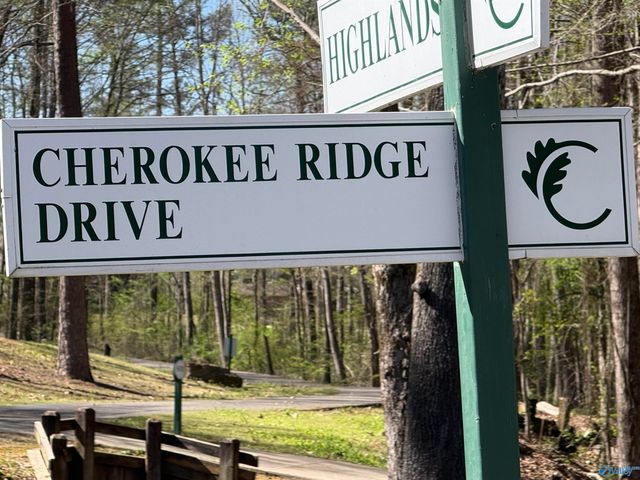 1830 Cherokee Ridge Drive, Union Grove, AL 35175