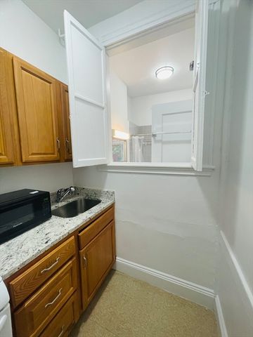 14 Palace Rd 4, Boston, MA 02115