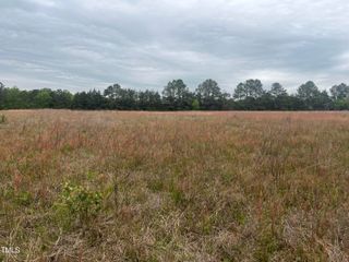 0 Mill Creek Church Road, Newton Grove, NC 28366
