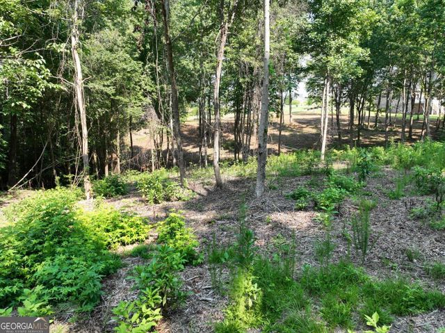 2789 Malcom Estates Ridge LOT 28, Bogart, GA 30622