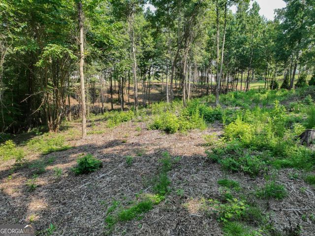 2789 Malcom Estates Ridge LOT 28, Bogart, GA 30622