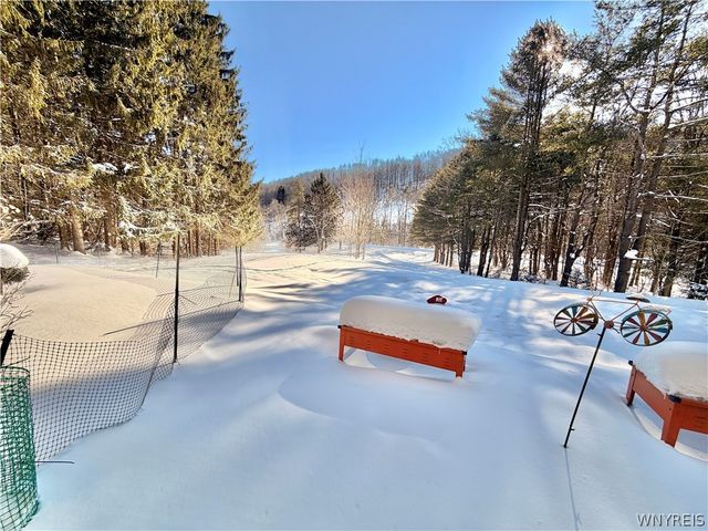 6434 Hencoop Hollow Road, Mansfield, NY 14731