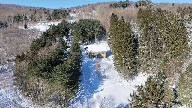 6434 Hencoop Hollow Road, Mansfield, NY 14731