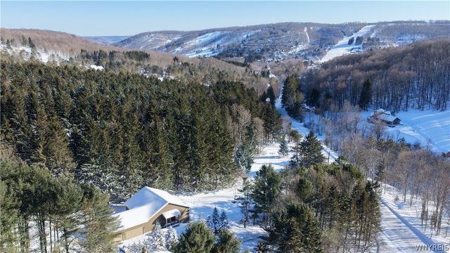 6434 Hencoop Hollow Road, Mansfield, NY 14731