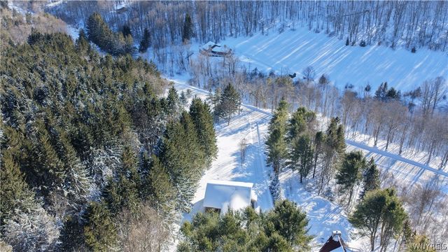 6434 Hencoop Hollow Road, Mansfield, NY 14731