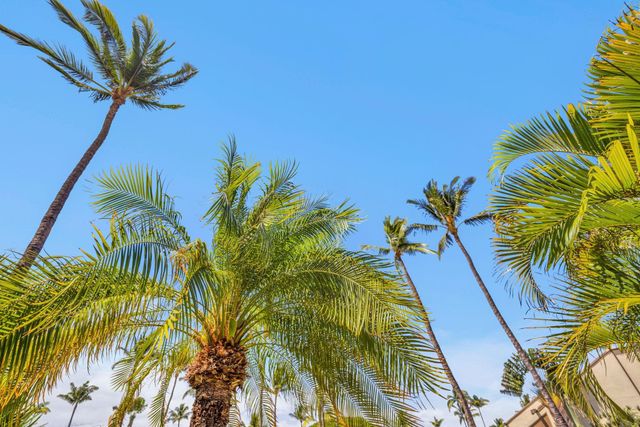 2777 S Kihei Rd Apt L105 105, Kihei, HI 96753