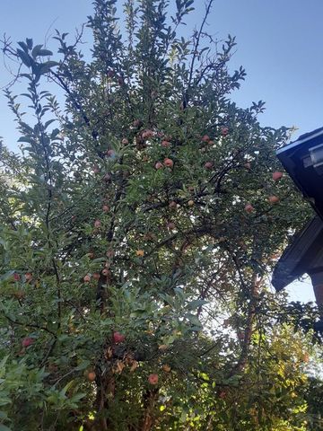 515 N 7th St, Rocky Ford, CO 81067