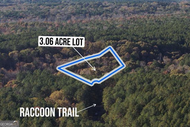 0 RACCOON Trail, Elberton, GA 30635