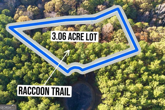 0 RACCOON Trail, Elberton, GA 30635