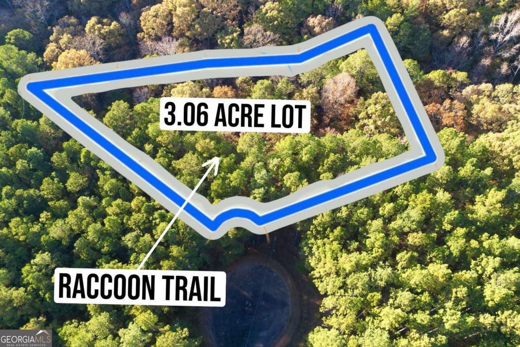 0 RACCOON Trail, Elberton, GA 30635 — photo 4