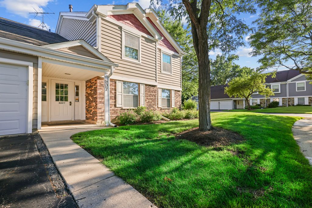 607 Eastview Court 2Z, Schaumburg, IL 60194 — exterior