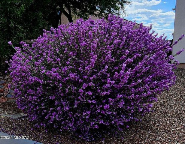 454 E Cactus Mountain Drive, Vail, AZ 85641