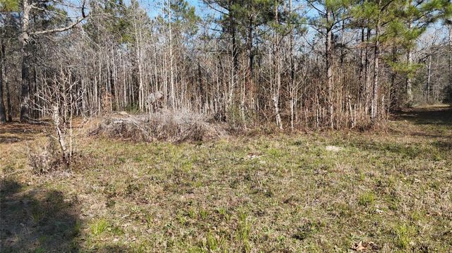 16086 Magnolia Park, Conroe, TX 77306