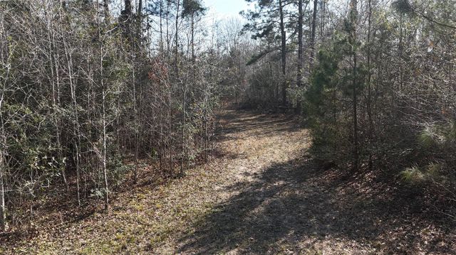 16086 Magnolia Park, Conroe, TX 77306