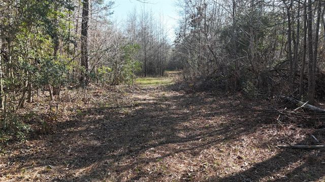 16086 Magnolia Park, Conroe, TX 77306