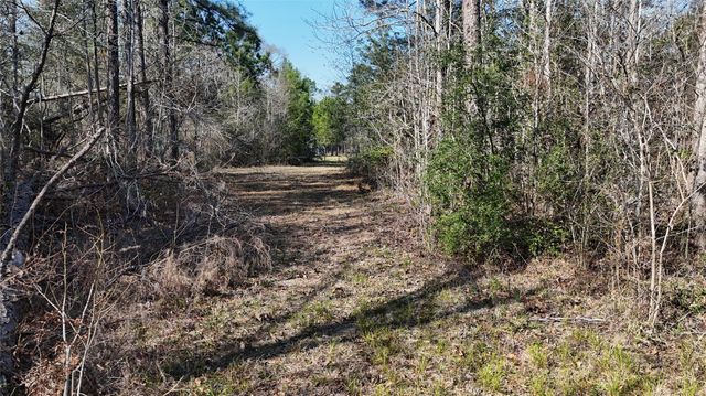 16086 Magnolia Park, Conroe, TX 77306