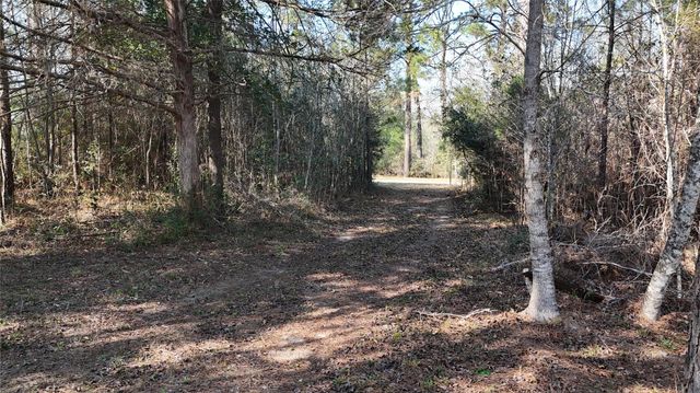 16086 Magnolia Park, Conroe, TX 77306