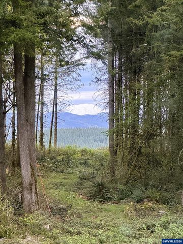 62710 Wagon Wheel Dr, St Helens, OR 97051