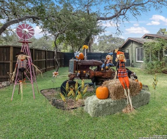 227 Palo Grande, San Antonio, TX 78232
