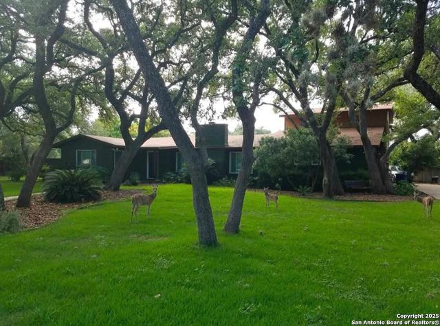 227 Palo Grande, San Antonio, TX 78232