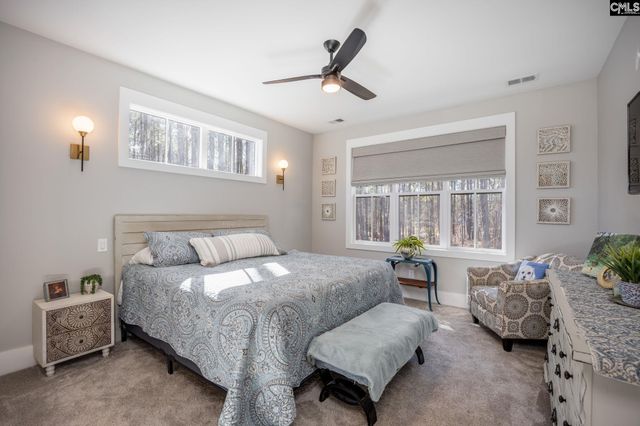 231 Timber Trail Lane, Prosperity, SC 29127