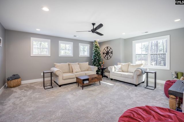 231 Timber Trail Lane, Prosperity, SC 29127