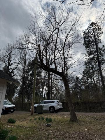 4356 RALEIGH-LAGRANGE RD, Memphis, TN 38128