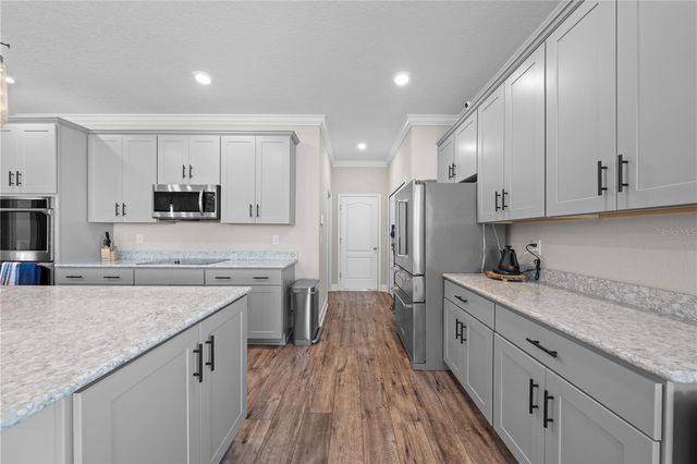 31041 JAZZ LEAF PLACE, San Antonio, FL 33576