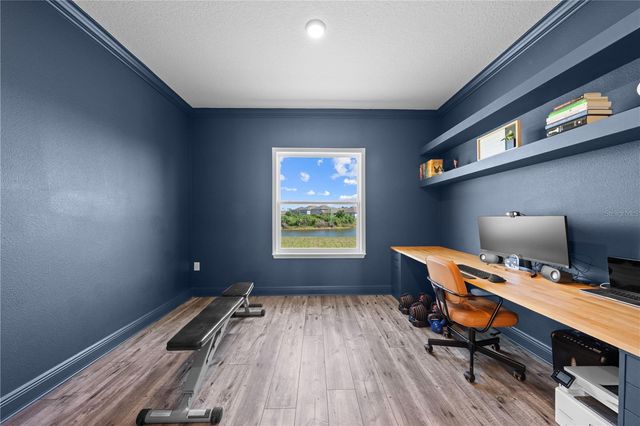 31041 JAZZ LEAF PLACE, San Antonio, FL 33576