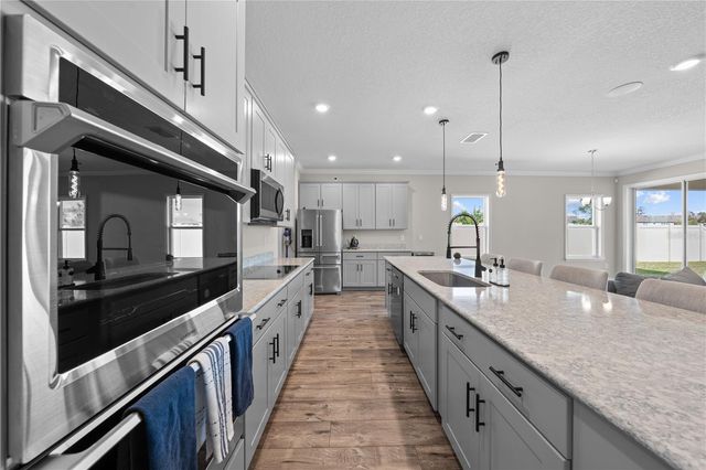 31041 JAZZ LEAF PLACE, San Antonio, FL 33576