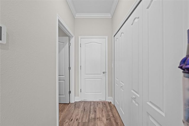 31041 JAZZ LEAF PLACE, San Antonio, FL 33576