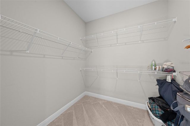 31041 JAZZ LEAF PLACE, San Antonio, FL 33576