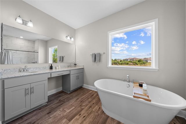 31041 JAZZ LEAF PLACE, San Antonio, FL 33576