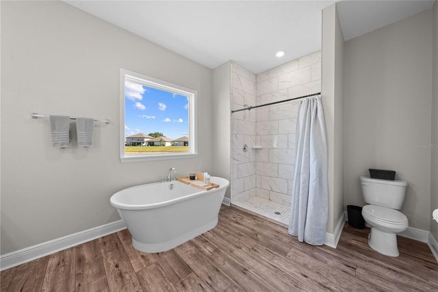 31041 JAZZ LEAF PLACE, San Antonio, FL 33576