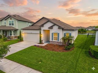 31041 JAZZ LEAF PLACE, San Antonio, FL 33576