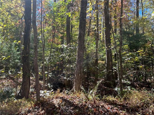 0 Little Mountain Road, Dahlonega, GA 30533