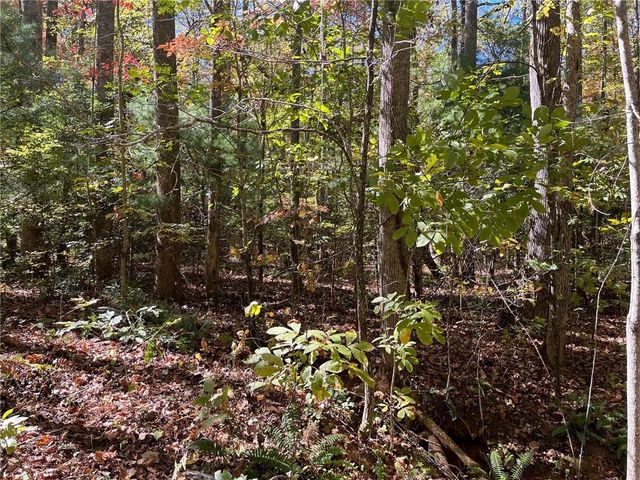 0 Little Mountain Road, Dahlonega, GA 30533