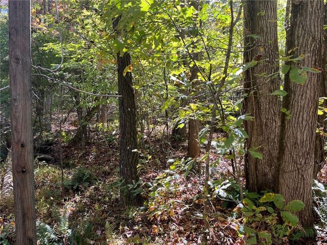 0 Little Mountain Road, Dahlonega, GA 30533