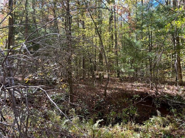 0 Little Mountain Road, Dahlonega, GA 30533