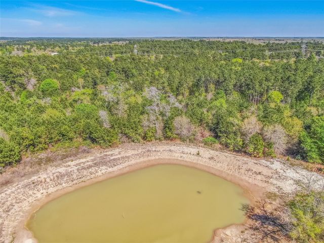 3656 Luthe Road, Bedias, TX 77831