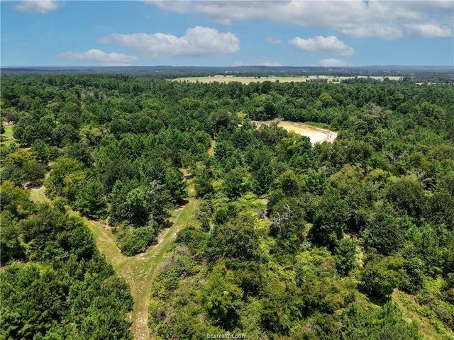 3656 Luthe Road, Bedias, TX 77831